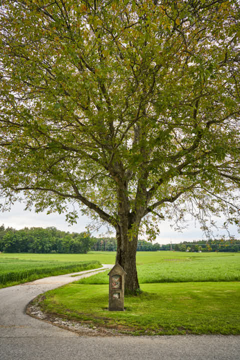 Gemeinde Burgkirchen Landkreis Altötting Höresham Alter Bildstock (Dirschl Johann) Deutschland AÖ